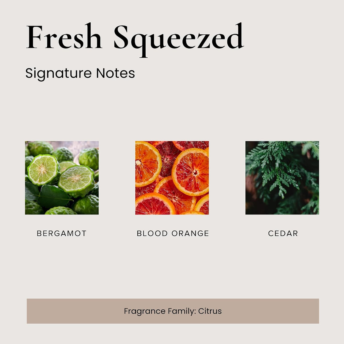 Broken Top Fresh Squeezed Natural Reed Diffuser Set | Continuous, Flame-Free Fragrance for Any Room, no Plug Needed