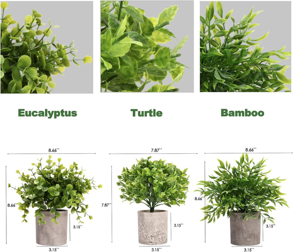 Decorative Artificial Plants in Pots Set of 3-Mini Potted Fake Plants in Pots,Plastic Eucalyptus Plants,Bamboo,Turtle Potted Faux Plants Indoor for Office Desk Coffee Table Wall Bedroom Decoration