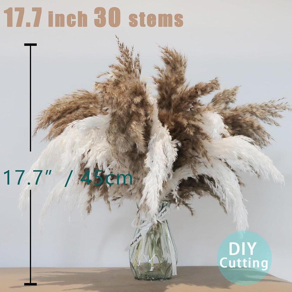 30 Stems Boho Decor - Dried Pampas Grass, Fluffy Brown & White Pampas Grass Fluffy, Dry Short Flowers Small Pampas Bulk for Home Decor, Home Decor, Wedding Decor, Gift(17.7 inch, 15 Brown & 15 White)