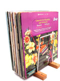 40 LP Vinyl Record Storage Solid Wood Vinyl Record Holder (Stainless Steel)