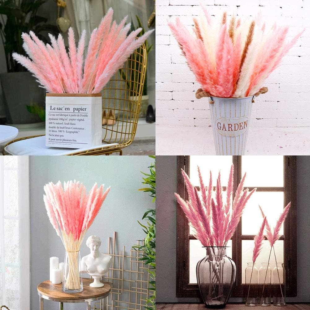 60 Stems 22 Inch Natural Dry Flowers Small Pampas Grass, Phragmites Communis, Dried Flowers Bouquet for Wedding Floral Arrangements Home Decorations (Pink)