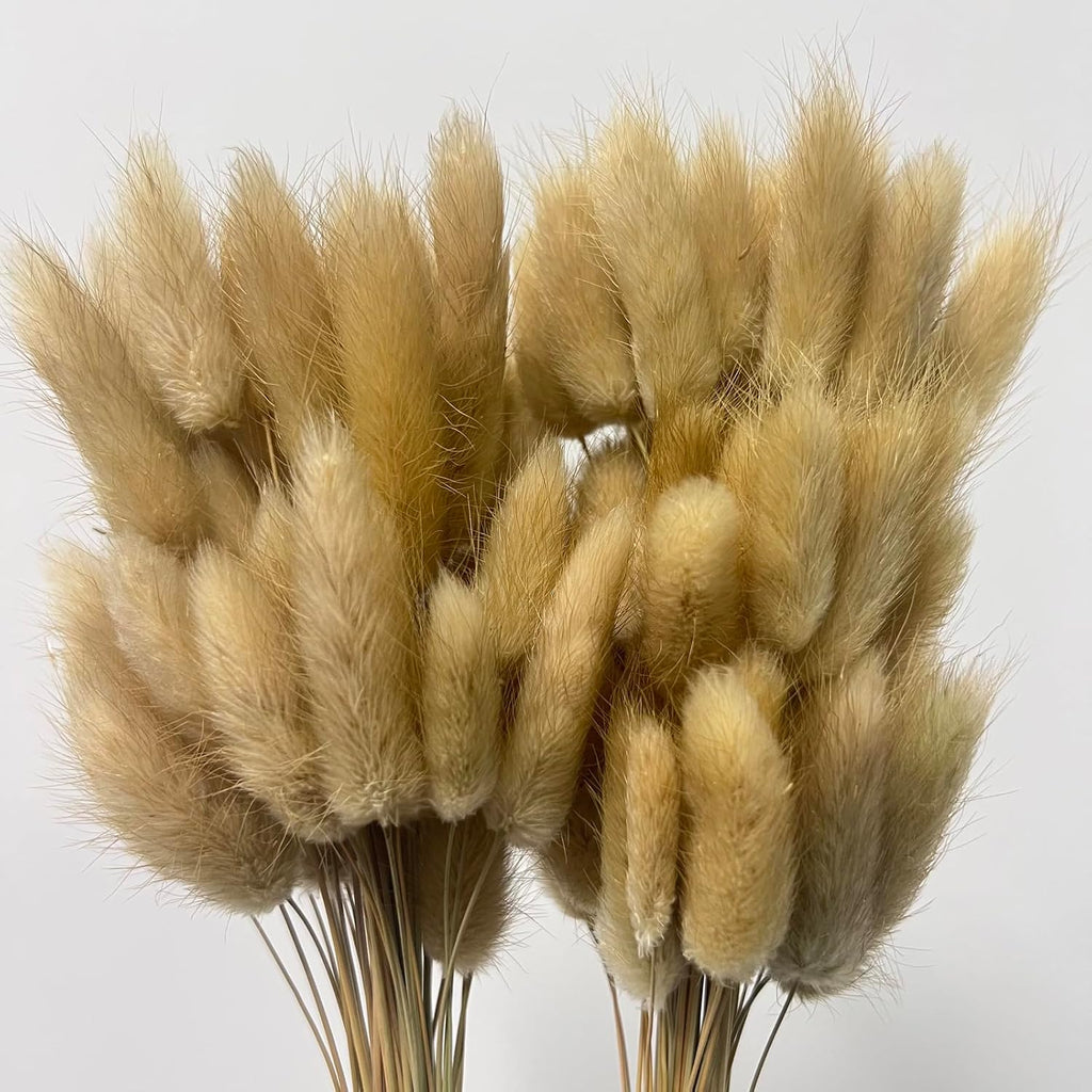 120PCS Bunny Tails Dried Flowers,17" Brown Pampas Grass Natural Rabbit Tail Grass for Boho Wedding,Baby Birthday Party,Home Table, Farmhouse Decor