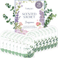 14 PCS Eucalyptus Sachets Bags for Drawers and Closets, Long Lasting Scented Sachets Air Fresheners, Natural Odor Eliminator, Home Fragrance for Wardrobe, Shoe Cabinet, Car & Bathroom Potpourri Bag
