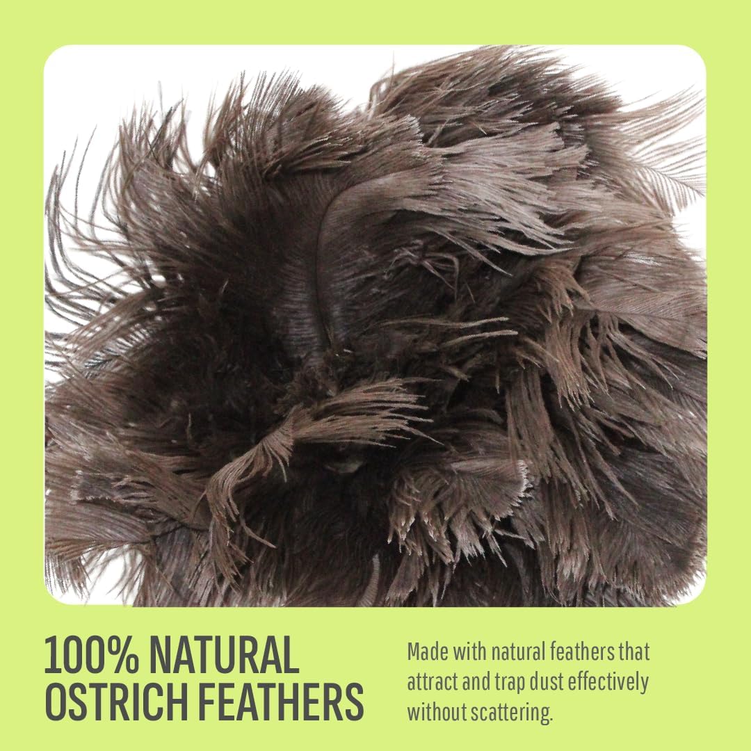 Retractable Feather Duster 8-14 in Adjustable - Natural Ostrich Feather Duster for Cleaning Ceiling Fans, Blinds, Plantation Shutters, Walls & Furniture - Quality Checked in USA - 2 Pack