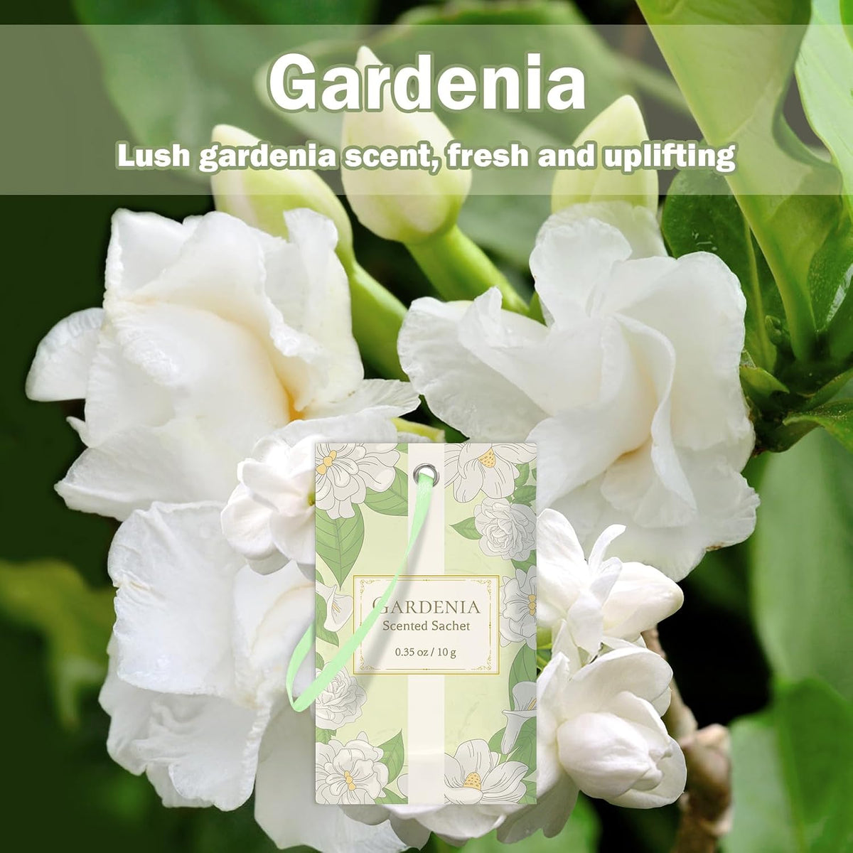 SCENTORINI Scented Sachets for Drawer and Closet, Gardenia Scent 14 Pack