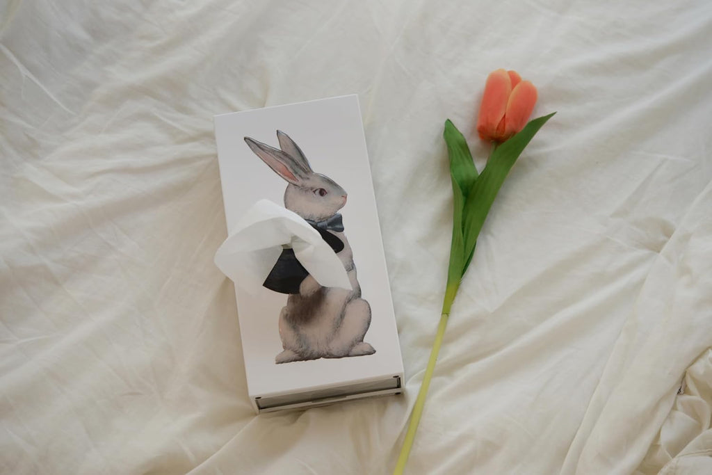 Magic Rabbit Tissue Box - Whimsical Magician Hat Illusion