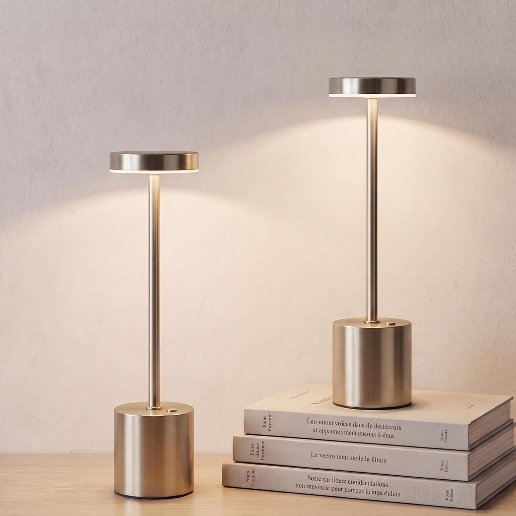 Silver Cordless Table Lamp 2Pack Rechargeable Portable Table Light
