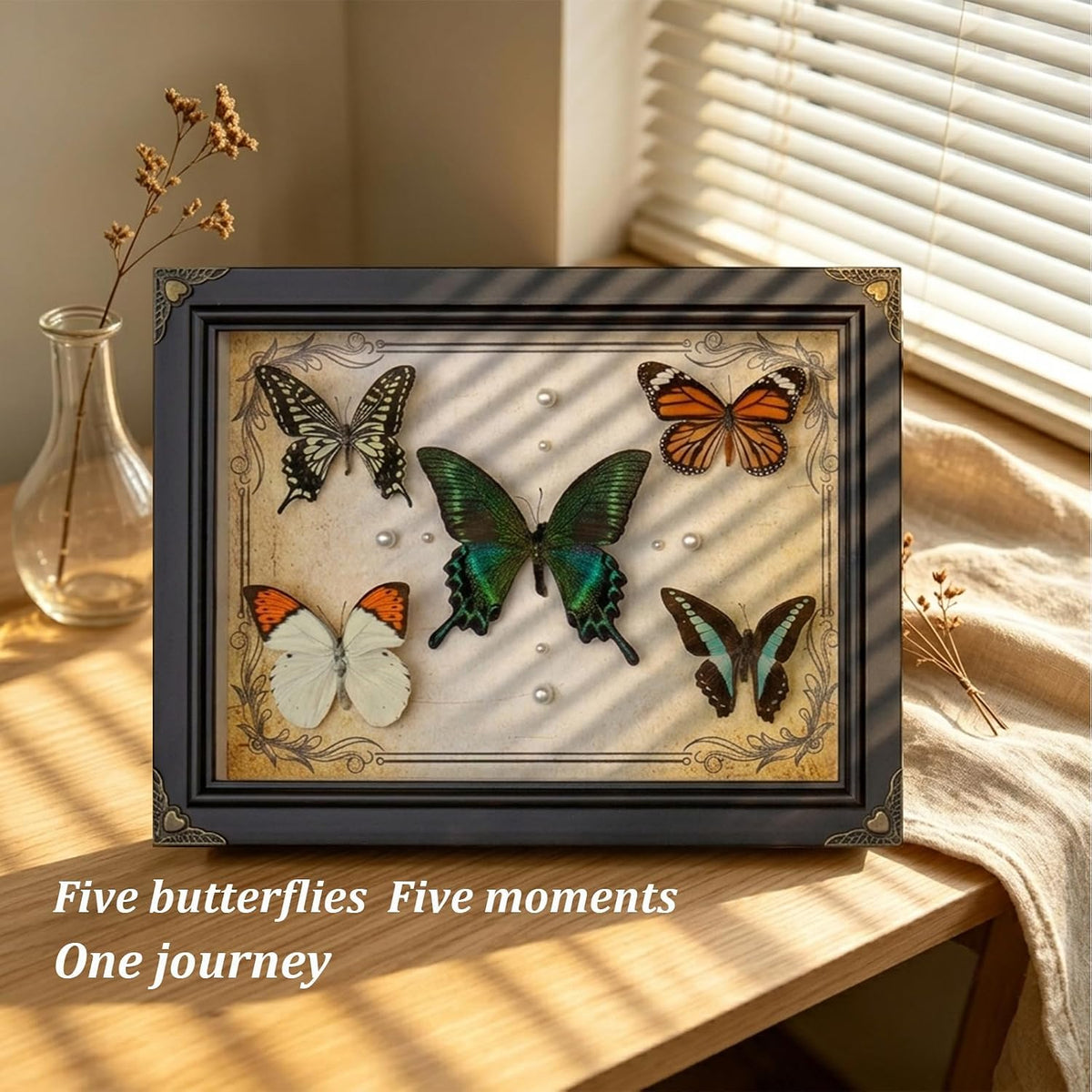 Nature's Palette 5 Real Butterfly Taxidermy Shadow Box Gift Set (10x13.4")