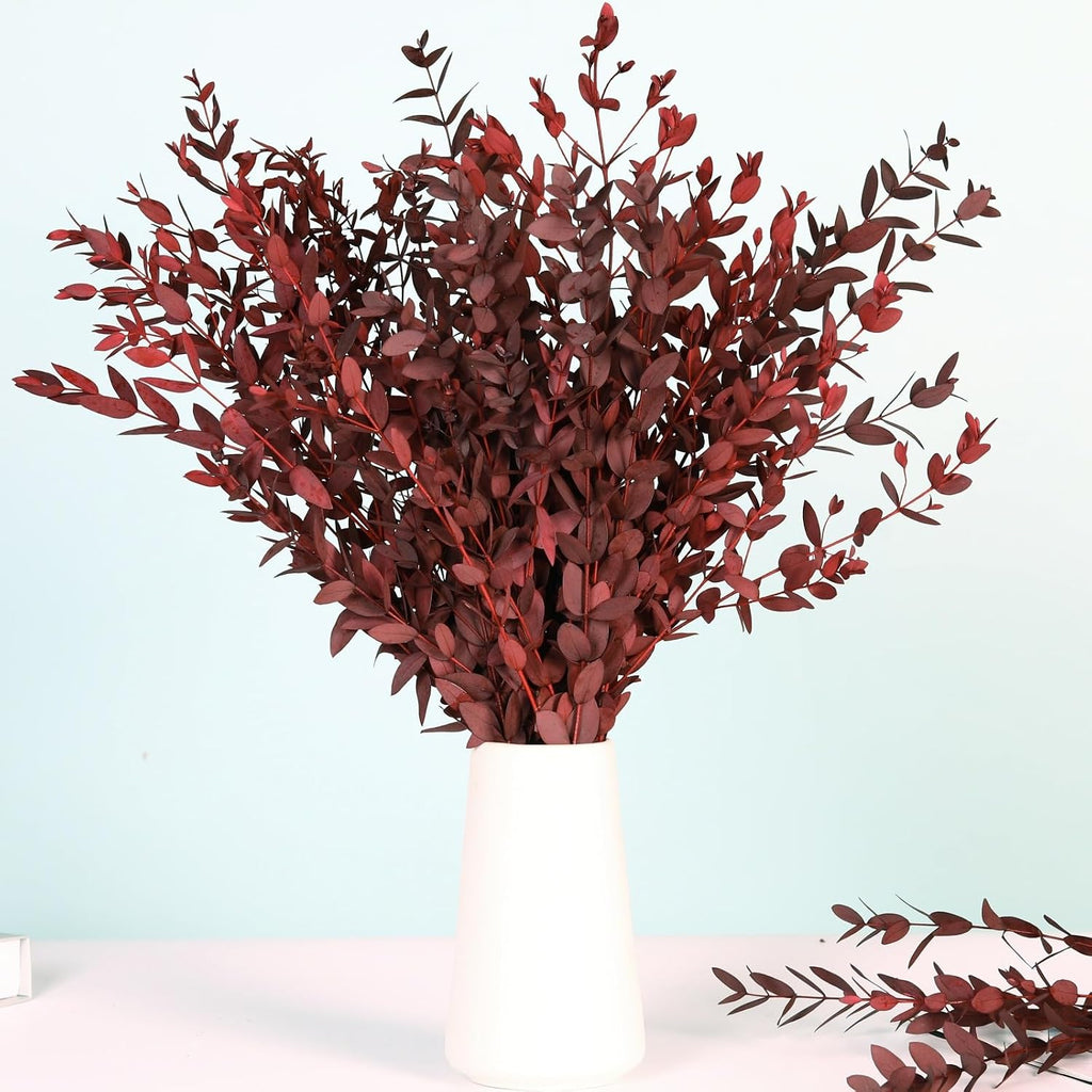 Dried Eucalyptus Leaves Stems, Preserved Real Eucalyptus Plant, Dried Willow Branches Bundle for Wedding Wreath Home Fragrance Vase Filler Bathroom Decor, Fall Arrangement Decorations (Red, 3oz)