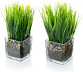 MyGift Set of 2 Artificial Grass Plants in Square Glass Pots with Pebbles