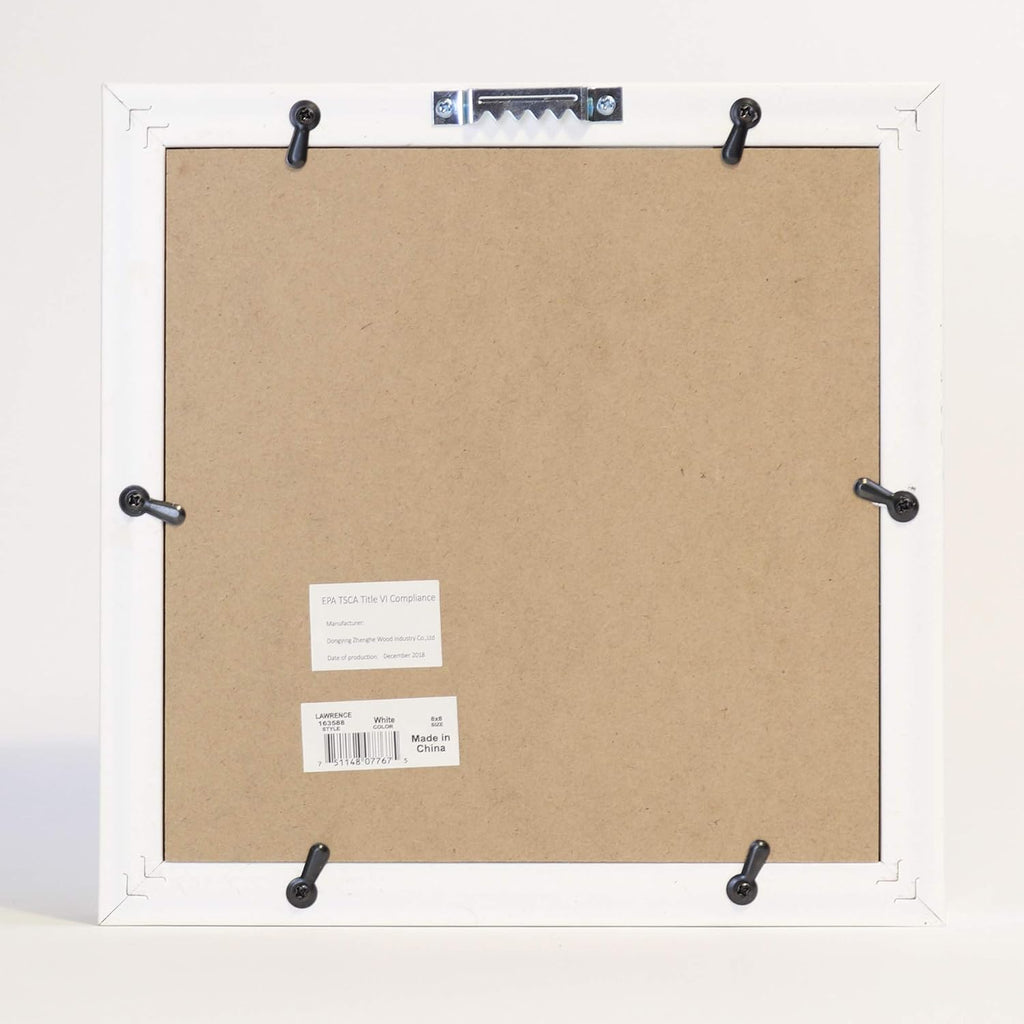 Lawrence Frames 8x8 Adventure Fund White Shadow Box Frame