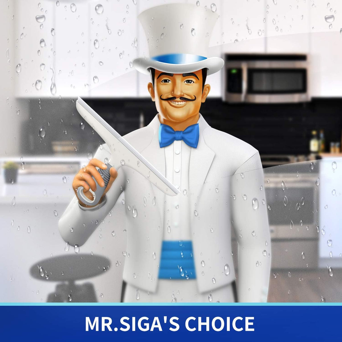 MR.SIGA Silicone Squeegee for Shower Doors, 10 inch, White & Gray, 2 Pack
