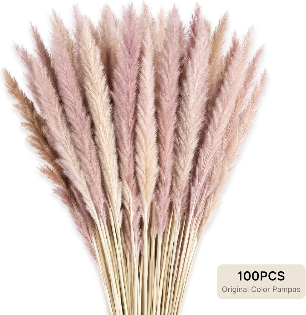 LIAN 100 Pcs Natural Brown Small Pampas Grass, Dried Reeds Bouquet for Home