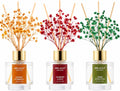 Airkeep Reed Diffuser Set of 3, Coconut Pineapple Lemon Eucalyptus Cranberry Apple Oil Reed Diffusers for Bedroom Living Room Office Aromatherapy Oil Reed Diffuser for Gift 50ml x 3