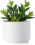 Kurrajong Farmhouse Artificial Plant in White Ceramic Pot | 7.5" Fake Plant for Desk Decor | Artificial Succulent in Pot | Fake Succulent | Faux Plant for Shelf Decor