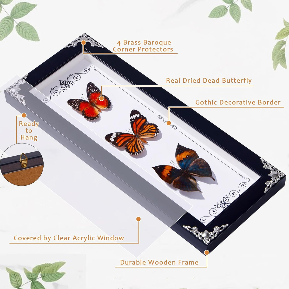 Framed 3 Real Butterfly Gothic Decor, 15.2"X6.5" Taxidermy Butterfly Shadow Box Wall Decor, Framed Butterfly Taxidermy for Witchy Home Decor