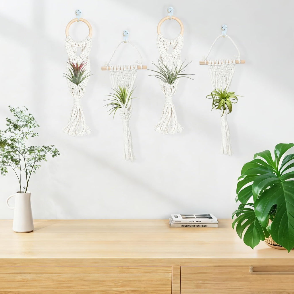 Belit 4 Pack Air Plants Holders with 4 Hooks, NO Plant Included