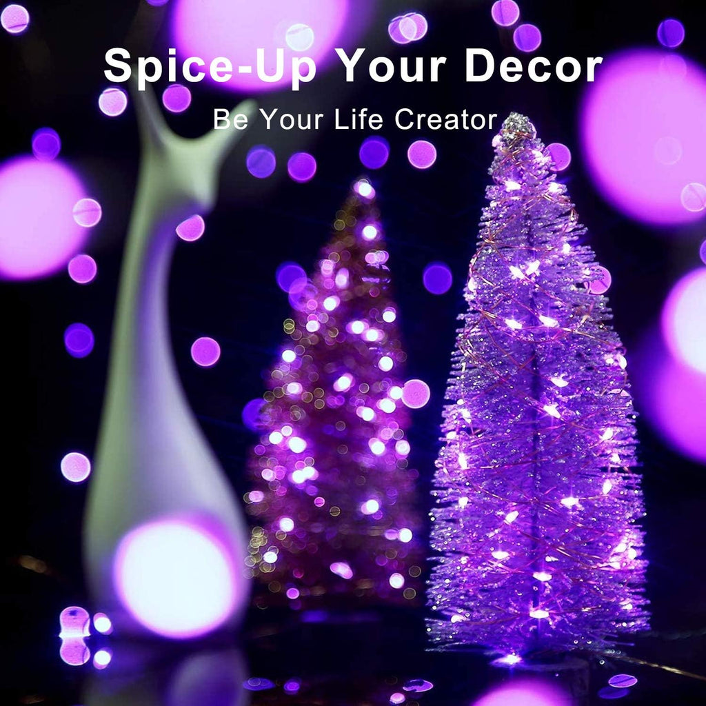 Blingstar USB Powered Fairy Lights, 2 Pack 33Ft 100 LED, Flexible Silver Wire, Mini String Lights for Christmas Tree/Halloween/Bedroom/Camping/Holiday Decoration, Purple