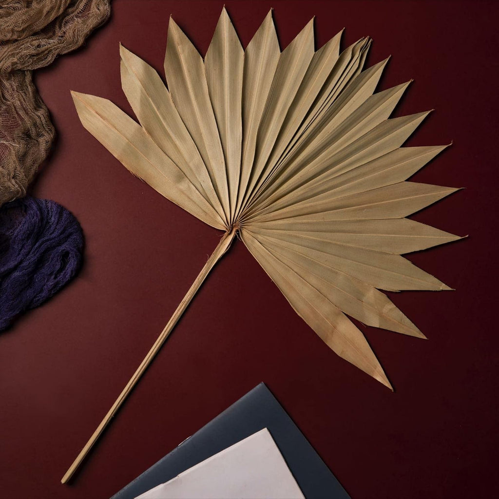 Natural Large Dried Palm Leaves-4 pcs Real Plants Palm Leaves, Sun Palms, Dried Flowers for Boho Wedding Home Party Decor, Leaf Decor