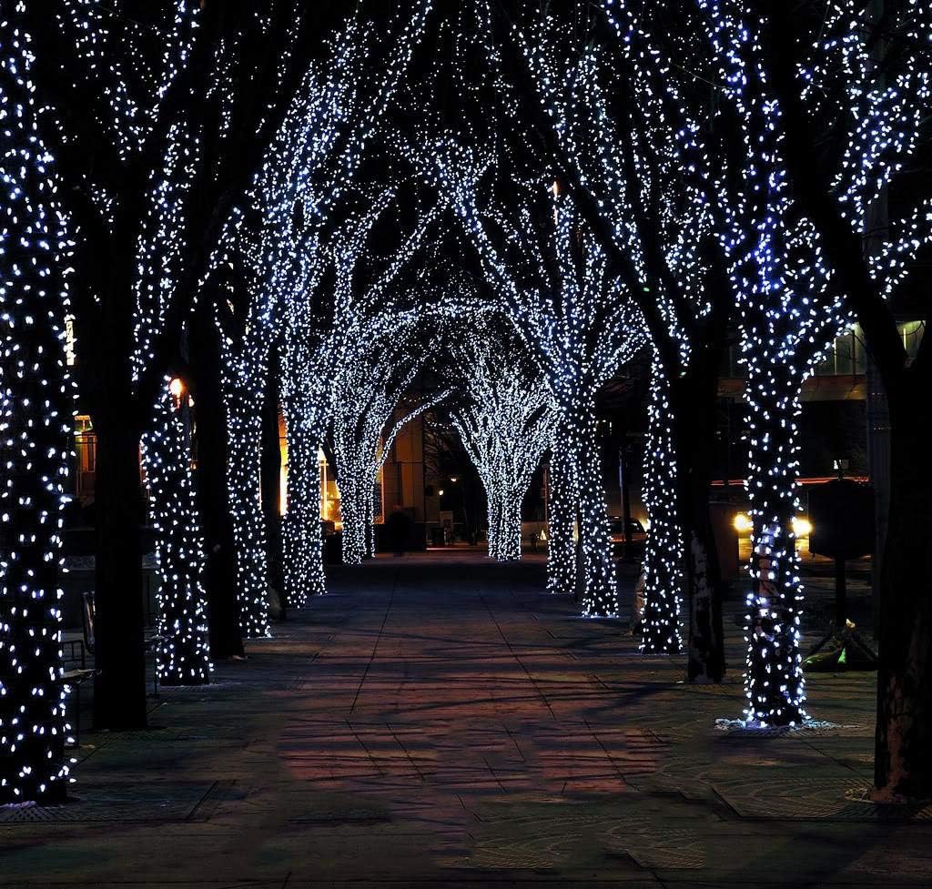 Indoor Christmas String Lights - 220 LEDs 82ft/25m 8 Modes End-to-End Plug in Outdoor Waterproof Decorative Fairy Twinkle Halloween Light for New Year/Tree/Wedding/Thanksgiving Day/Patio - Cool White