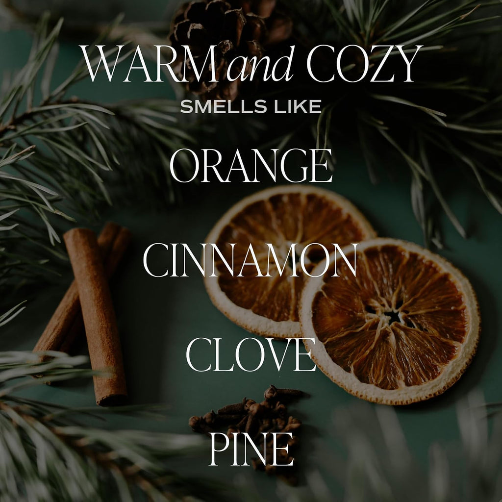 Sweet Water Decor Warm and Cozy Reed Diffuser Set - Fall and Winter Reed Diffuser Set for Home - Orange, Cinnamon, Ginger, Clove Scented Room Fragrance - Lasts 4+ Months, Made in the USA