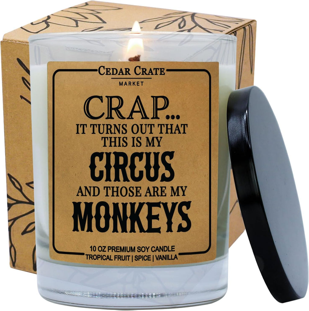 Funny Candle Gifts for Mom - Made in USA - Mothers Day, Birthday Gifts for Women, Men, Dad, Best Friend, Sister, Coworker Candle, Birthday Candles, Unique Present from Daughter or Son, 100% Soy Wax