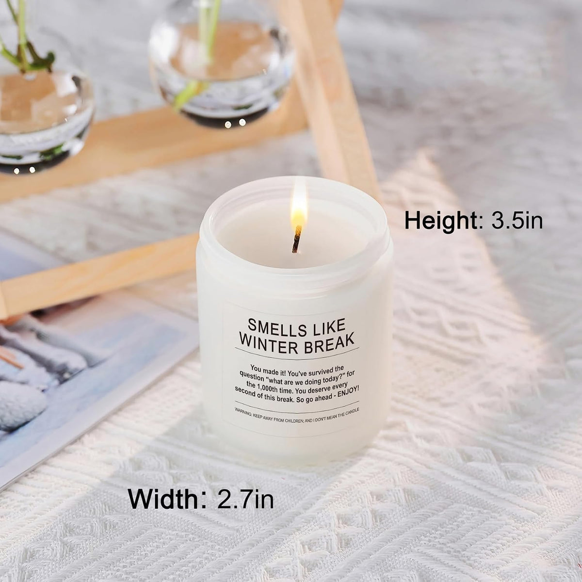 Appreciation Gift for Women Funny Winter Break Christmas Student Teacher Gifts Scented Soy Candle