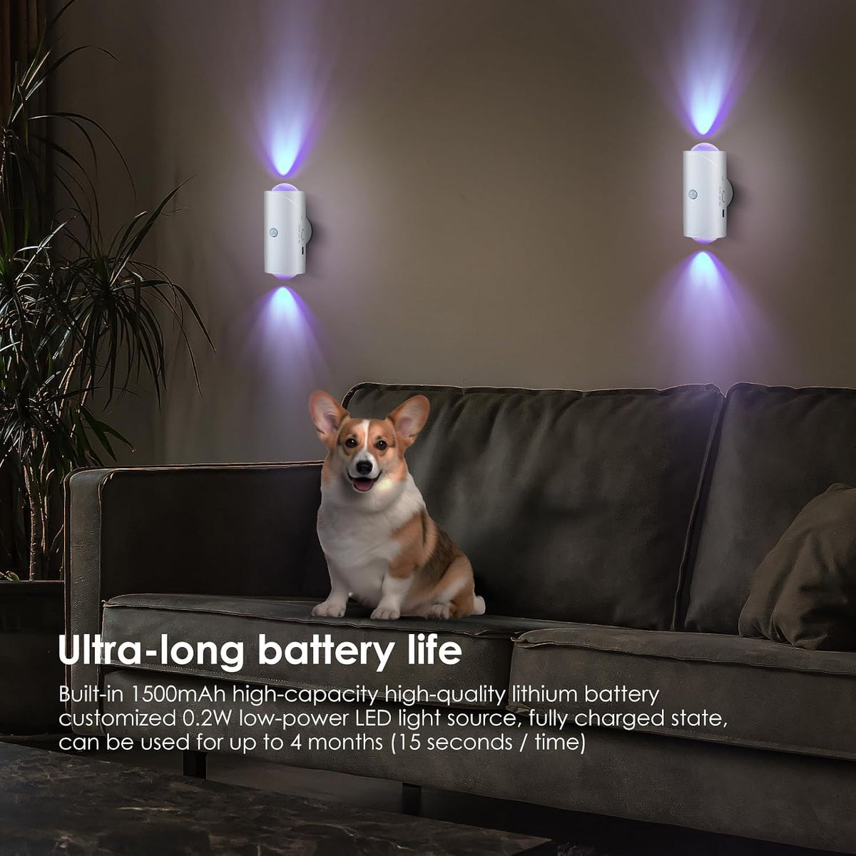 LED Motion Sensor Night Light, 7 Colors Rechargeable Battery Stair Light