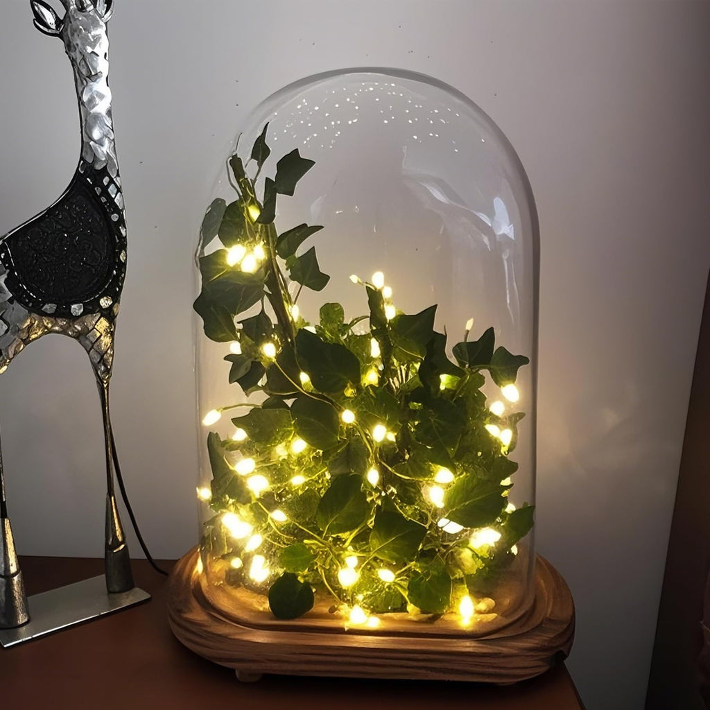 6 Pack Fairy Lights Battery Operated With Timer,2 Remotes,20 LED Warm White