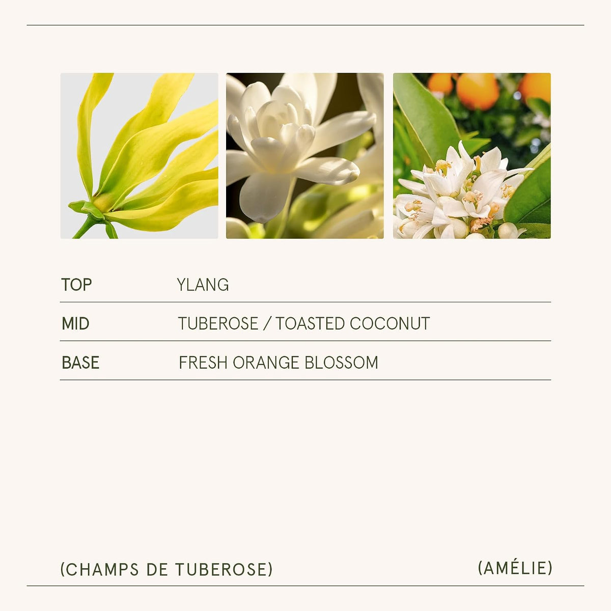 LA JOLIE MUSE Tuberose Floral Scented Candles for Home, 11 oz Natural Soy