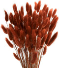 120pcs Bunny Tails Dried Flowers Pampas Grass Bouquet, Caramel