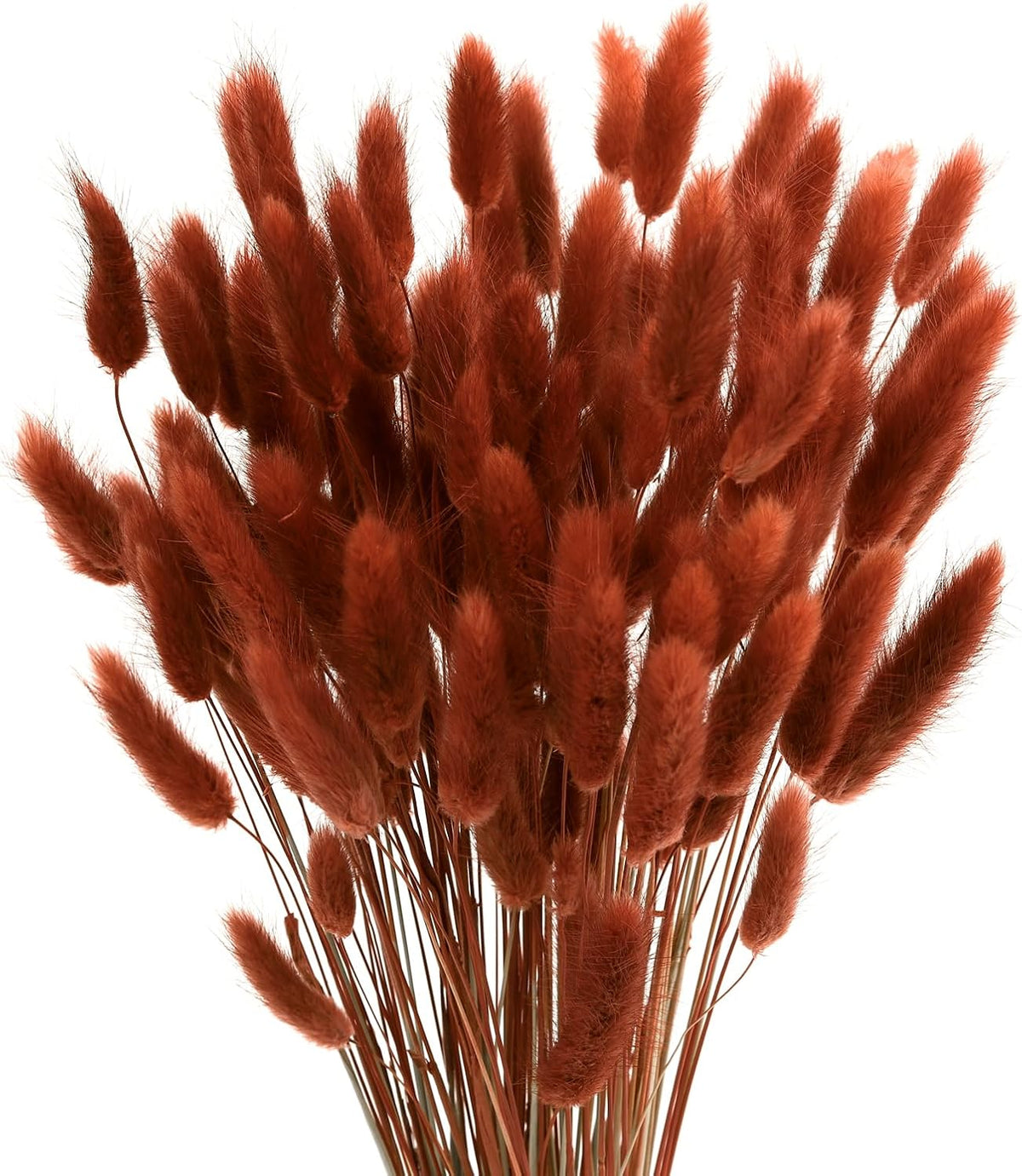 120pcs Bunny Tails Dried Flowers Pampas Grass Bouquet, Caramel