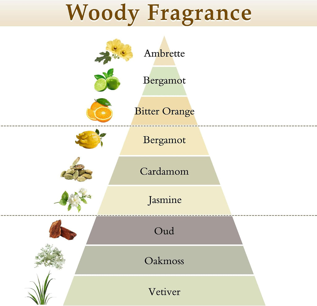 XEPTLE Reed Diffuser Set, 7.04 oz Oud & Bergamot Scent Diffuser with 5 Sticks, Long Lasting Air Freshener, Essential Oil Reed Diffuser for Home, Home Fragrance for Office, Bathroom Shelf Decor, Black