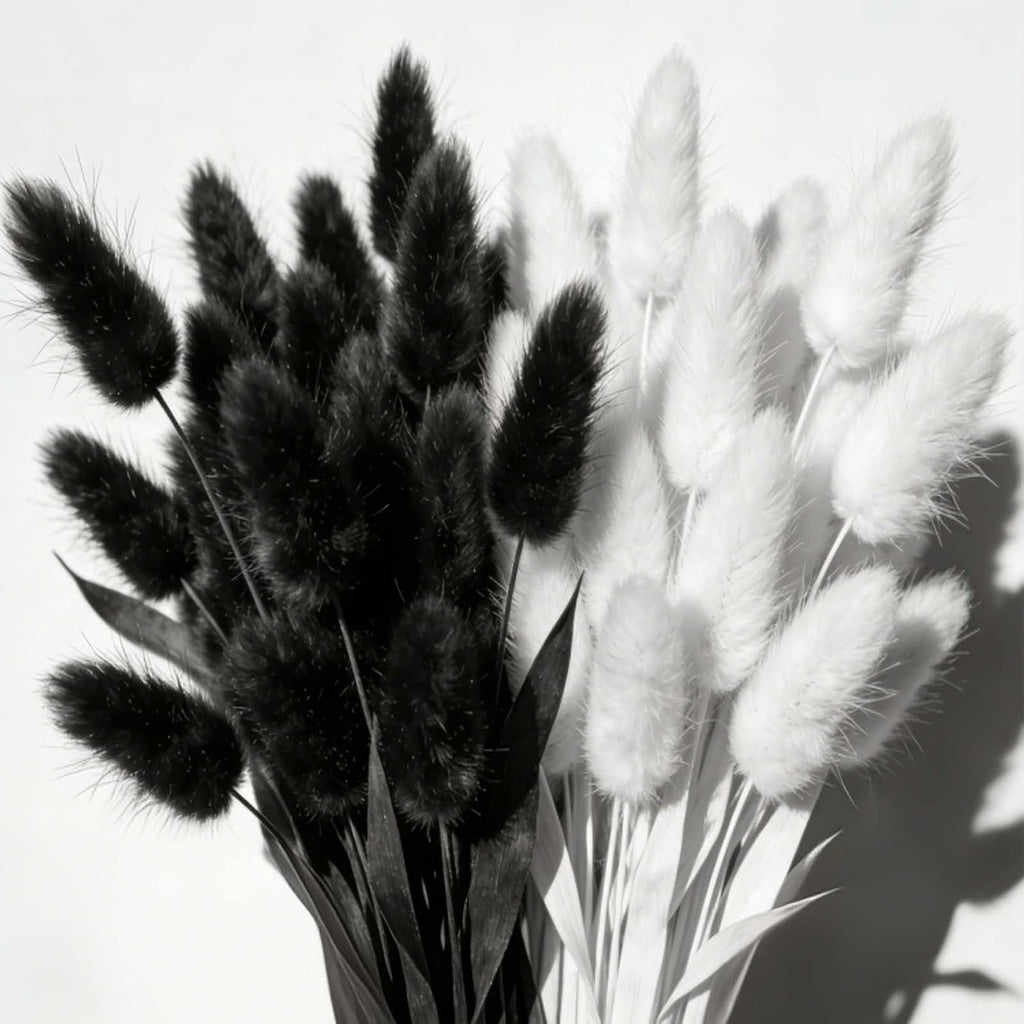 120pcs Bunny Tail Pampas Grass Dried Flowers for Vase Boho Flowers Dried Babys Breath Wedding Decor Dry Flowers for Vase (White 60PCS+Black 60PCS)