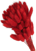 PATIKIL 15.7in Bunny Tails Dried Flowers, 120pcs Pampas Grass Decor Rabbit Tail Natural Pampas Grass Bulk Fluffy Faux Pampas Grass Dried for Home Boho Decor Vase Wedding Table, Red