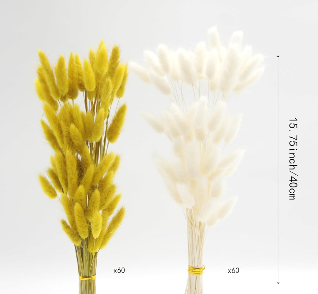 Dried Bunny Tails Flowers 120pcs Tail Dried Flowers Pampas Grass Natural Dried Floral Arrangement 17" for Christmas Halloween Boho Decor Home Wedding DIY Craft Decoration(White and Yellow)