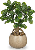 Artificial Bonsai Tree Fake Small Bay Plant with Ceramic Pot Indoor Bonsai