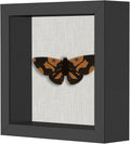 5x5 Shadow Box Frame, Linen Back, Push Pins Included, Memory Box Display Case, Black