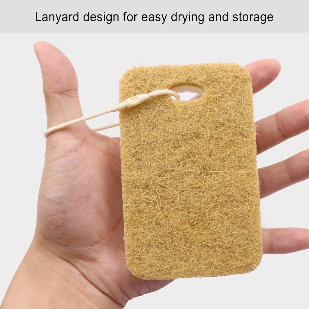 Natural Sponge, Sponges Individually Wrapped (Pack of 12 - Yellow)