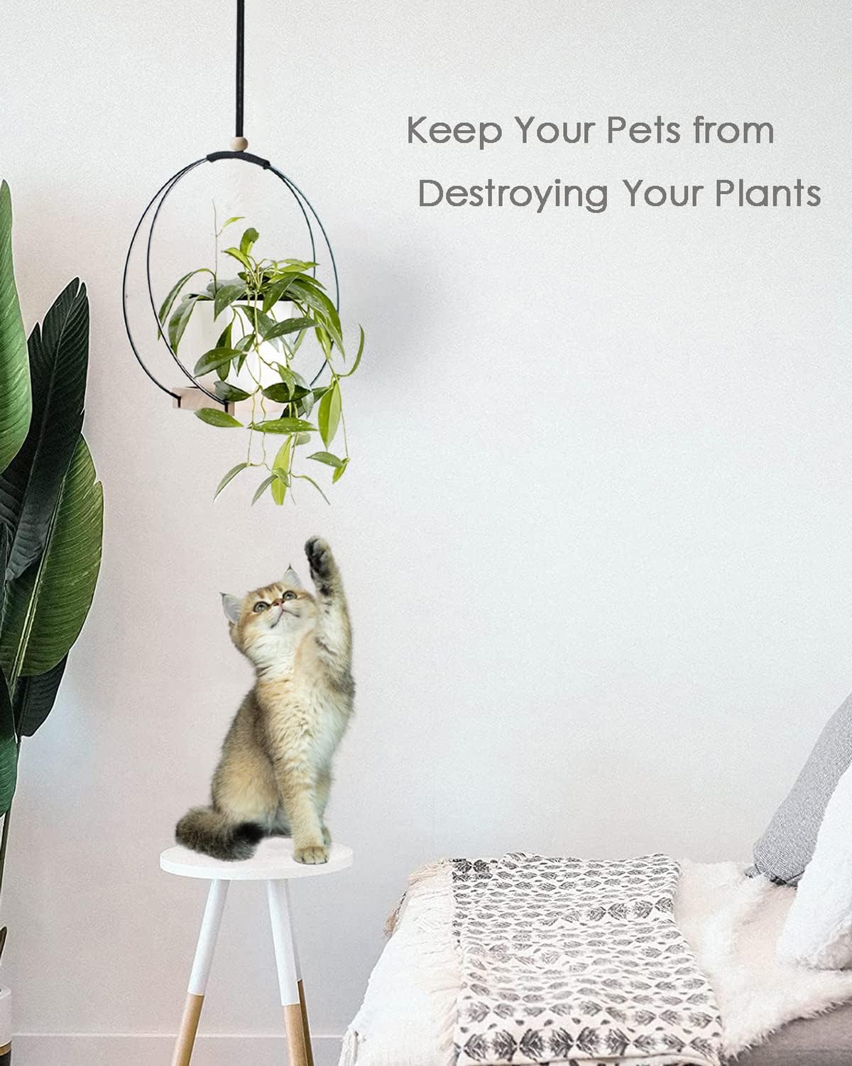 Plant Hangers Indoor with Wood Base -2 Pack Boho Macrame Hanging Plant Holder for Indoor Plants Hanging Planter for Wall/Window/Room Decor Black (Pot & Plant Not Included)