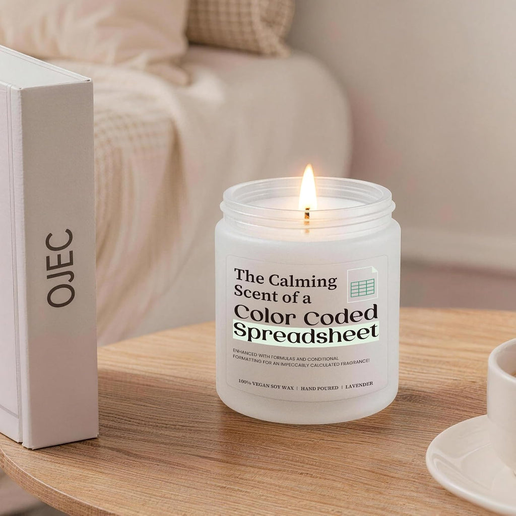 Funny Candle Gifts for Accountant, Accountant Gifts for Data Analyst CPA