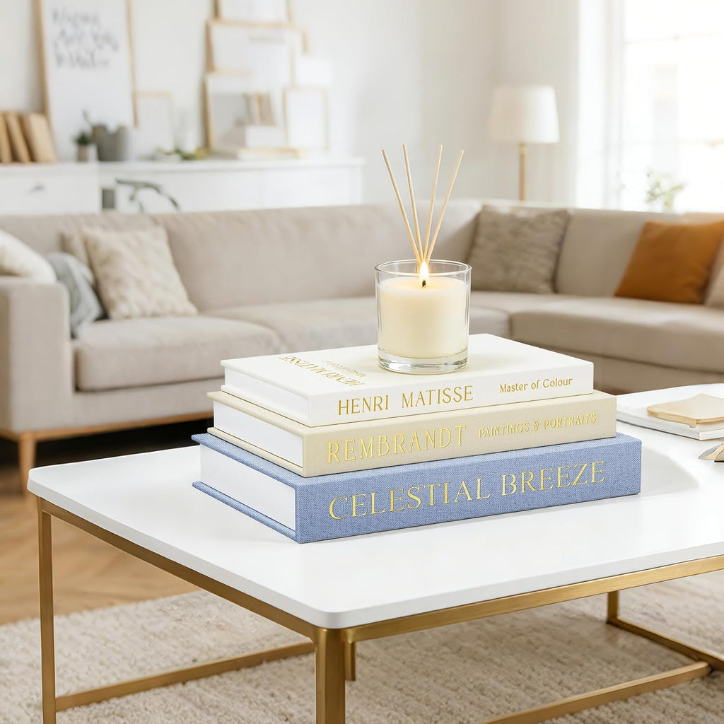 Set of 3 Decorative Faux Books for Home Decor