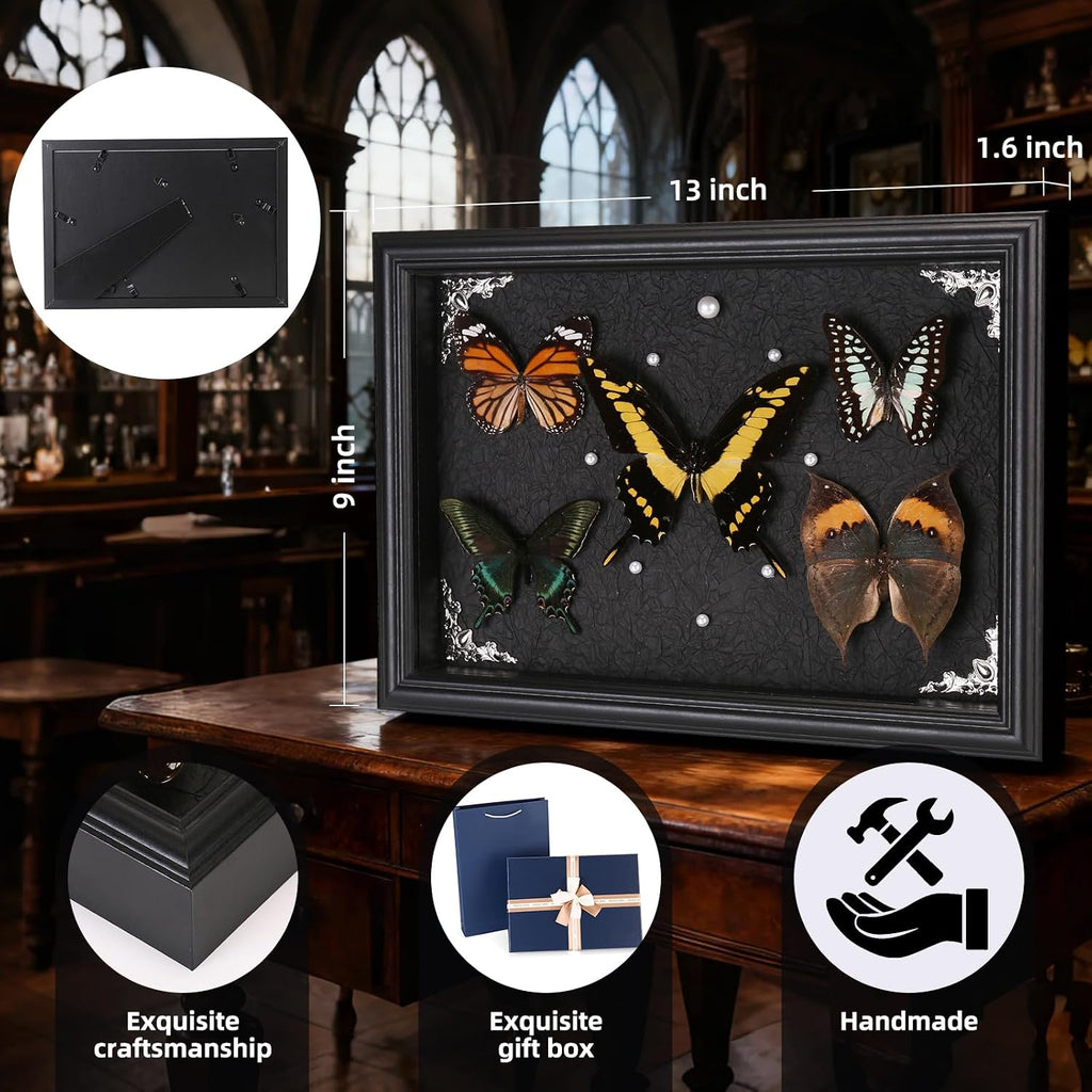 Real Framed Butterfly Taxidermy Collection - Set of 5 in Shadow Box Decor