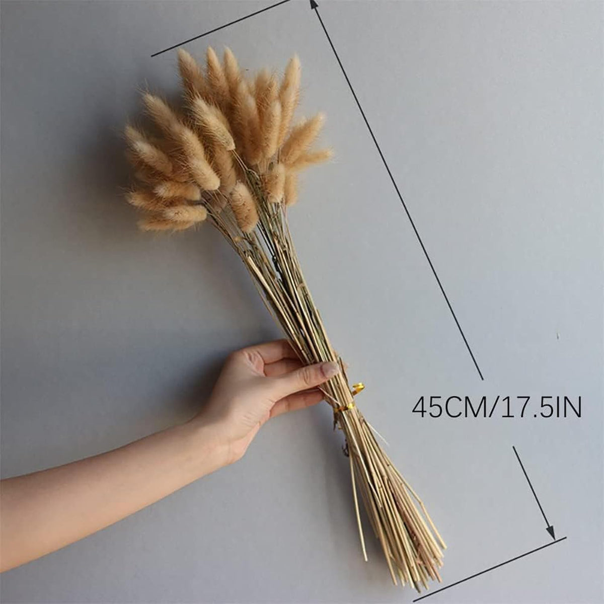 Brown Bunny Tails 120Pcs 17Inch Dried Grass for Boho Wedding Vase