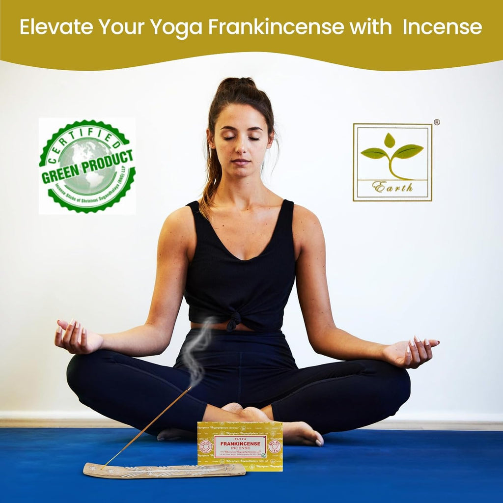 Satya Frankincense Sticks Incense Sticks, Satya Bng Insenses 15gmx12 Pack with Raajsee Incense Holder Bundle, Satya Nagchampa Natural Incense