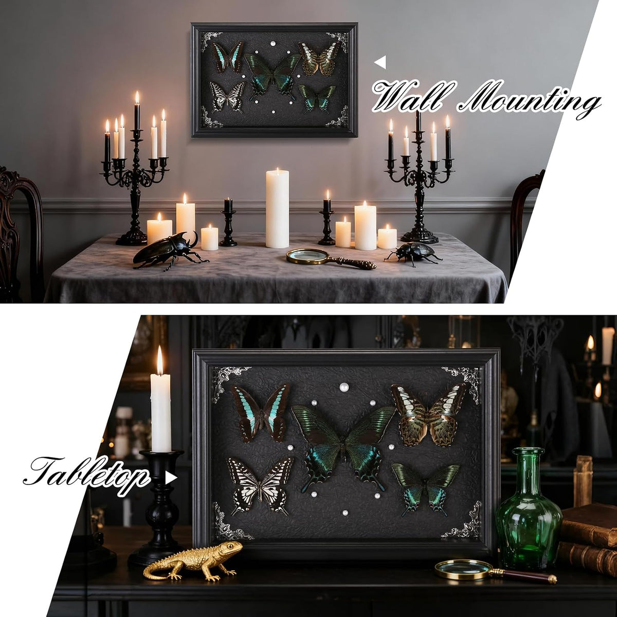 Real Framed Butterfly Taxidermy Collection - Set of 5 in Shadow Box Display