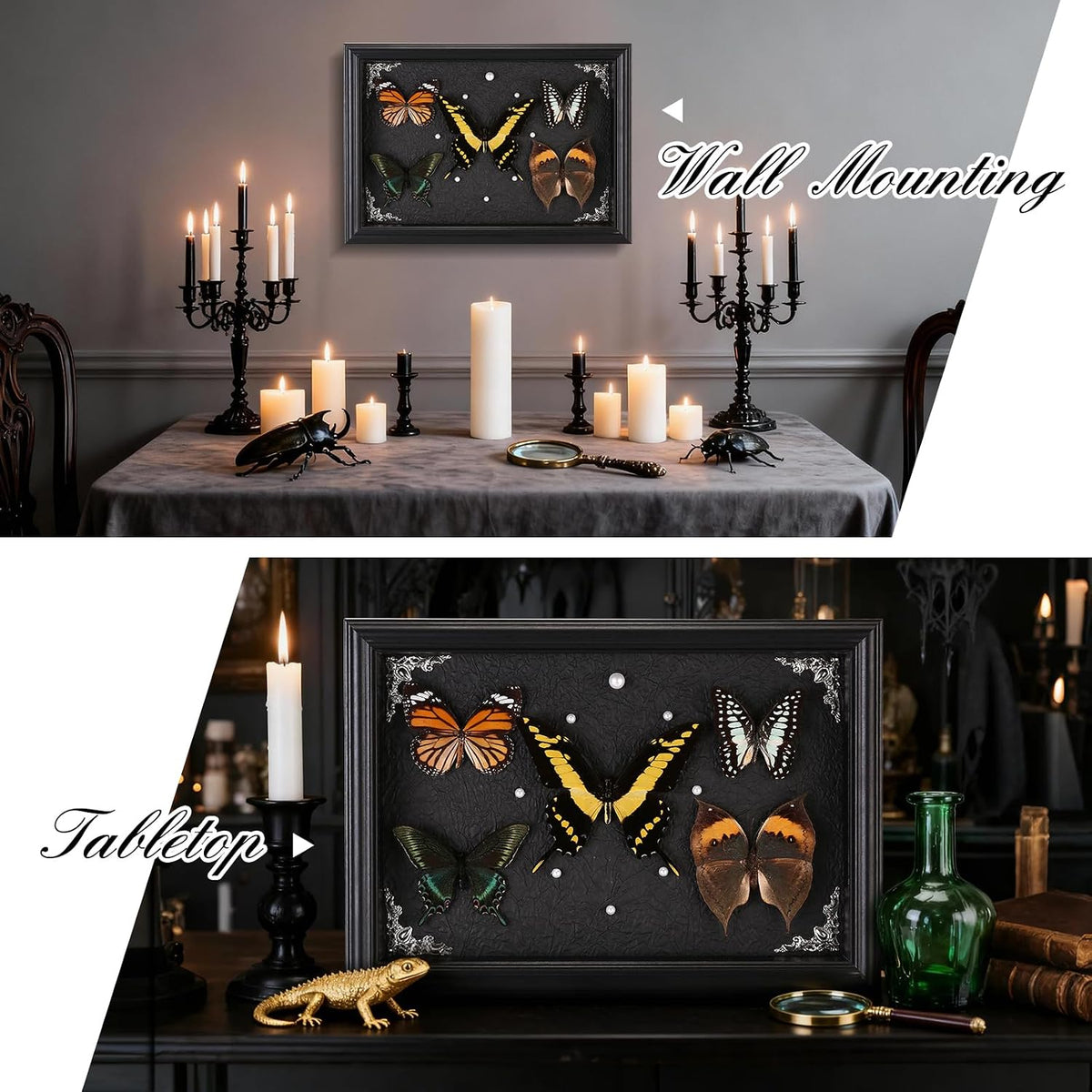 Real Framed Butterfly Taxidermy Collection - Set of 5 in Shadow Box Decor