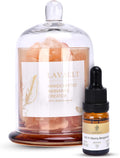 Lavault Reed Diffuser Set for Home, Office, Bedroom & Bathroom - Essential Oil Home Fragrance with Reed Sticks - Ebony Bergamot Scented