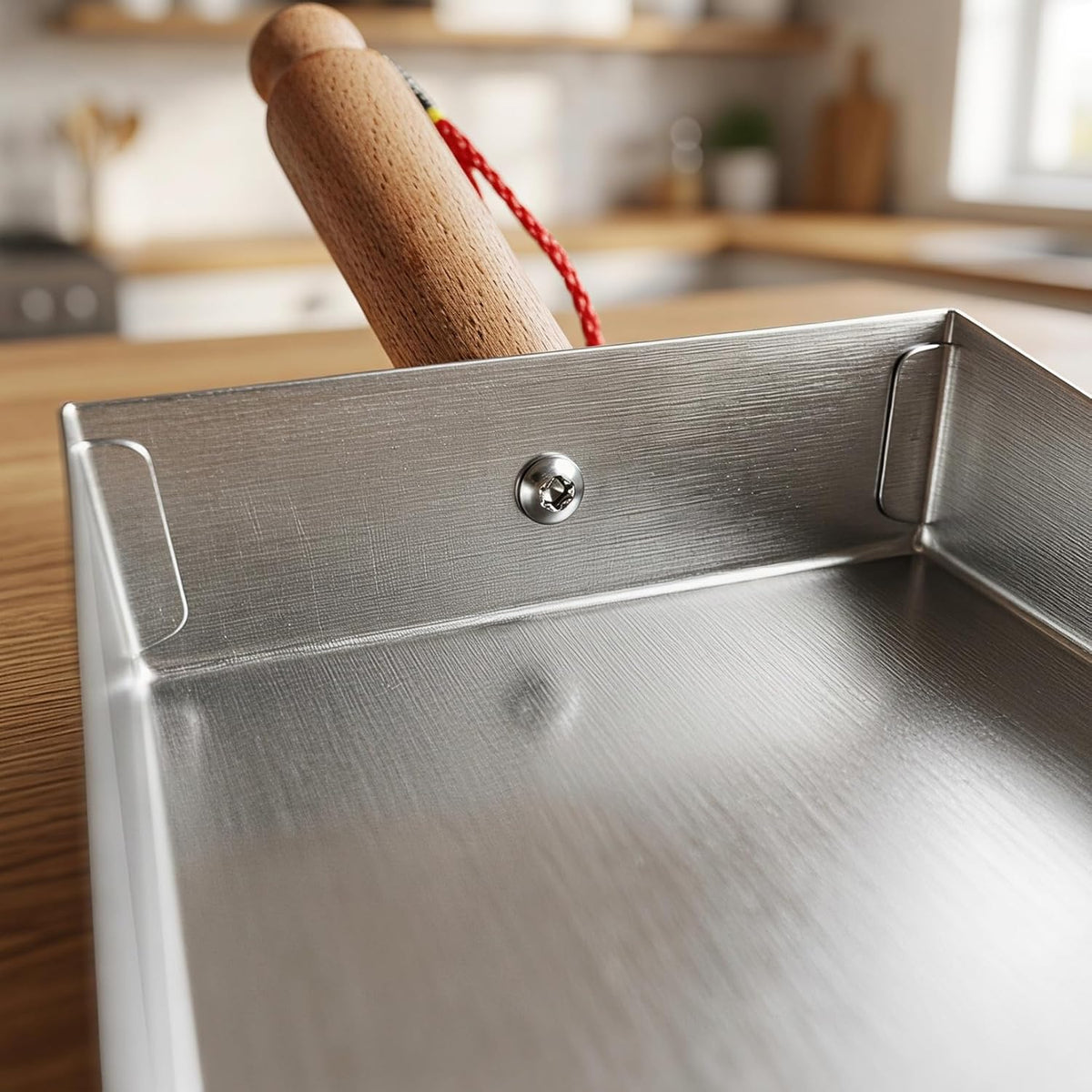 NOLITOY Dust Pan Stainless Steel for Tabletop Counter Cleanups, 8.45 Inches