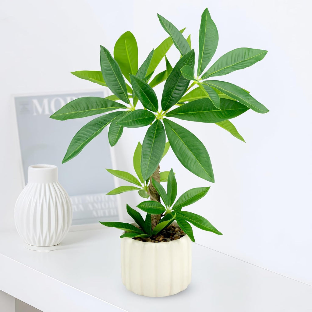 Small Money Tree Bonsai 15.2inch Artificial Desk Plant in White Ceramic Pot, Realistic Indoor Faux Potted Pachira Money Plant for Home Office Living Room Decor(Maintenance Free)